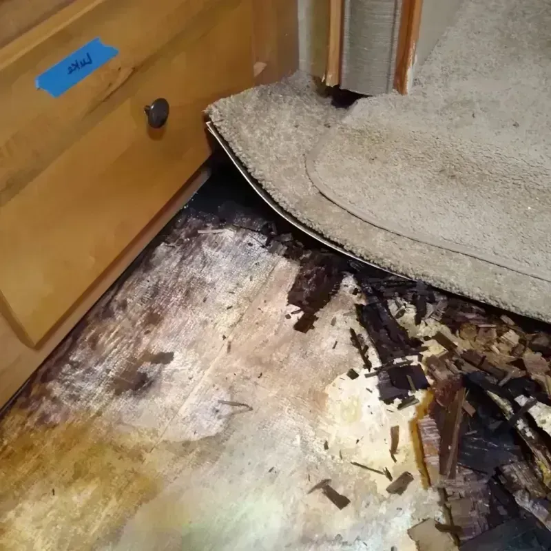 Wood Floor Water Damage in Jones, OK